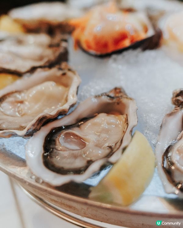 / 𝑴𝒆𝒓𝒓𝒚 𝑪𝒉𝒓𝒊𝒔𝒕𝒎𝒂𝒔🎄 /