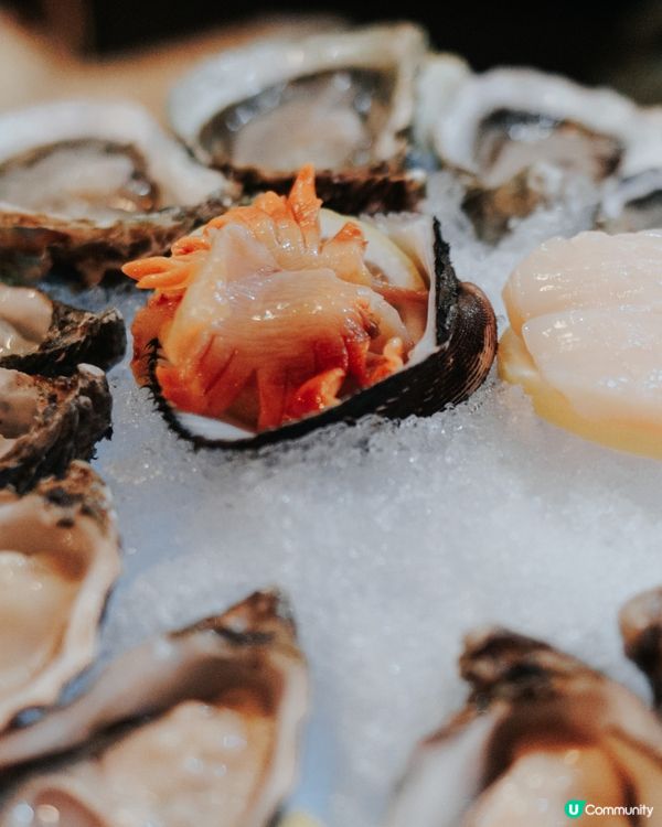 / 𝑴𝒆𝒓𝒓𝒚 𝑪𝒉𝒓𝒊𝒔𝒕𝒎𝒂𝒔🎄 /