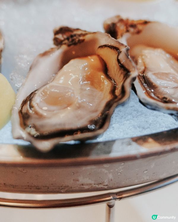 / 𝑴𝒆𝒓𝒓𝒚 𝑪𝒉𝒓𝒊𝒔𝒕𝒎𝒂𝒔🎄 /