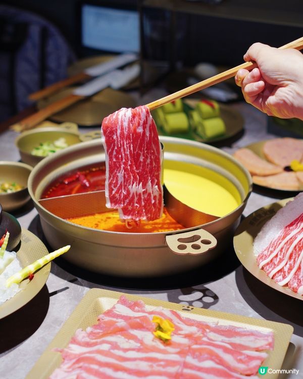 深圳熊猫烫火锅：创意与传统的交织之旅