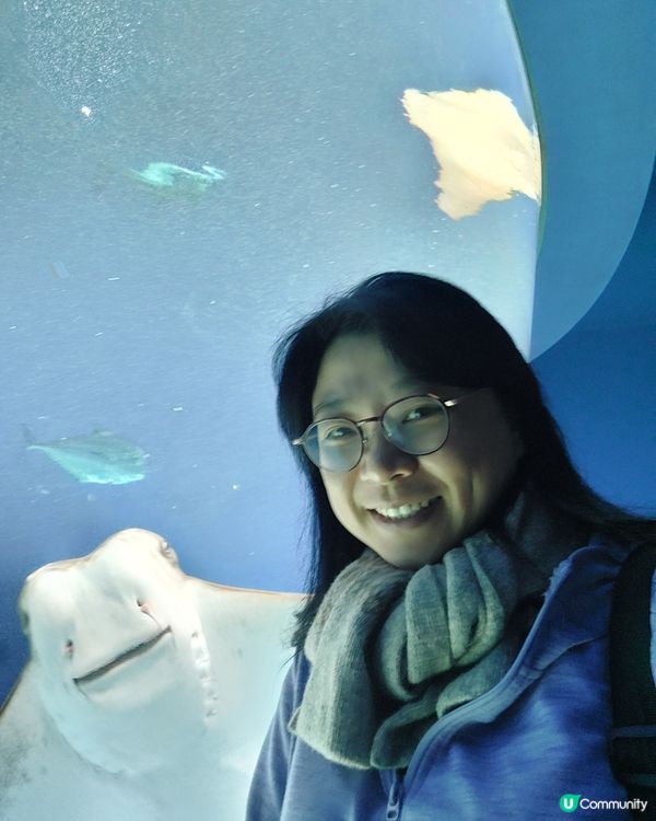 2023年最任性的兩天