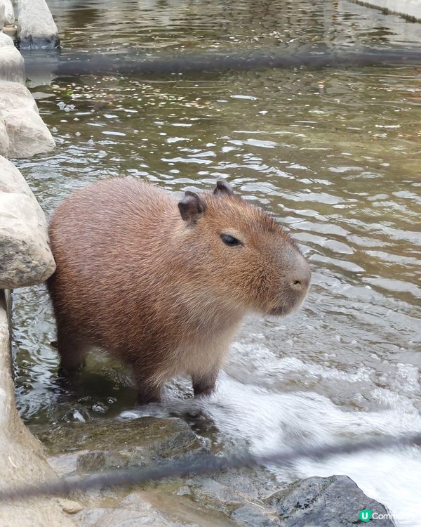 2023年最任性的兩天