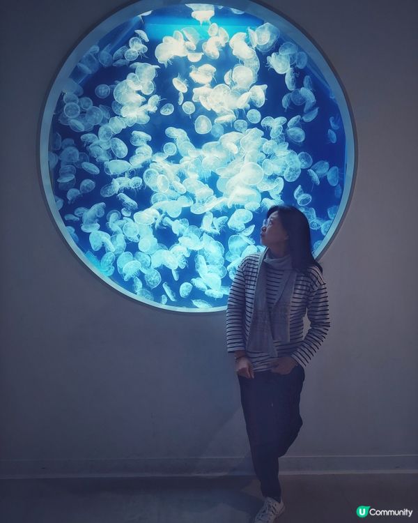 2023年最任性的兩天