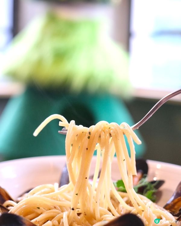 貓奴天堂🌈 全港首間酒吧主題貓咖