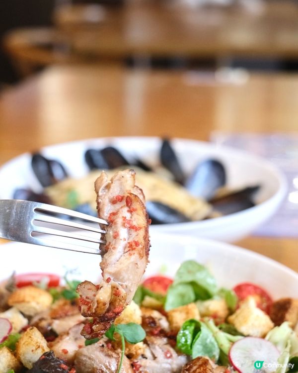 貓奴天堂🌈 全港首間酒吧主題貓咖