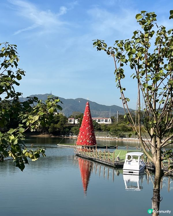 聖誕打卡熱點🎄