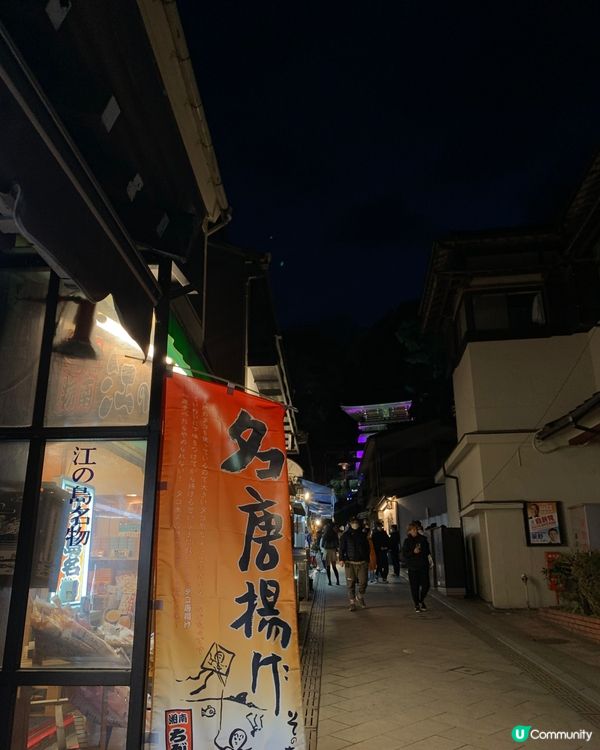 東京近郊之行！人氣景點旅遊推介！夜遊江之島