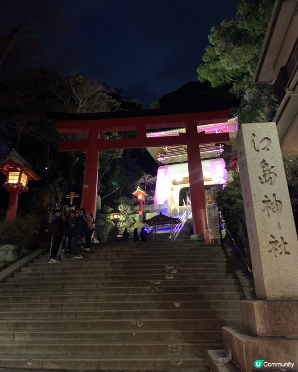 東京近郊之行！人氣景點旅遊推介！夜遊江之島