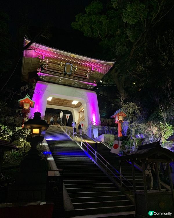 東京近郊之行！人氣景點旅遊推介！夜遊江之島