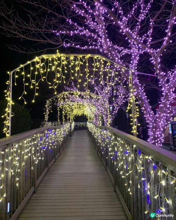 東京近郊之行！人氣景點旅遊推介！夜遊江之島