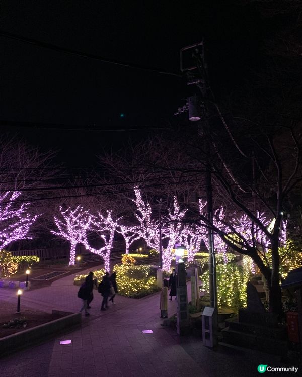 東京近郊之行！人氣景點旅遊推介！夜遊江之島