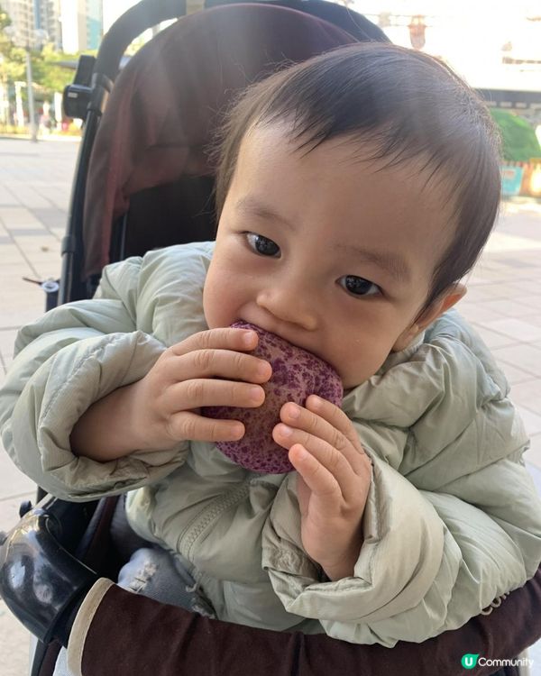 【麵包控必買 | 新加坡高CP麵包店】