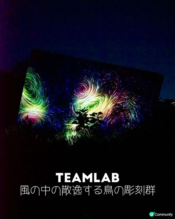 大阪戶外Teamlab-在風中飄散的鳥之雕刻群