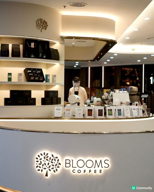 香港名人陳豪開的咖啡店