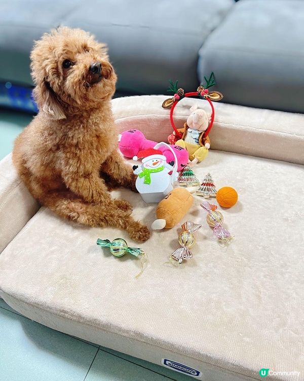 坐係床仔的coffee仔會不會太萌🥰