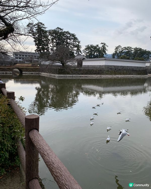 日本戰國不落之城！歷史迷朝聖必到! 小田原城