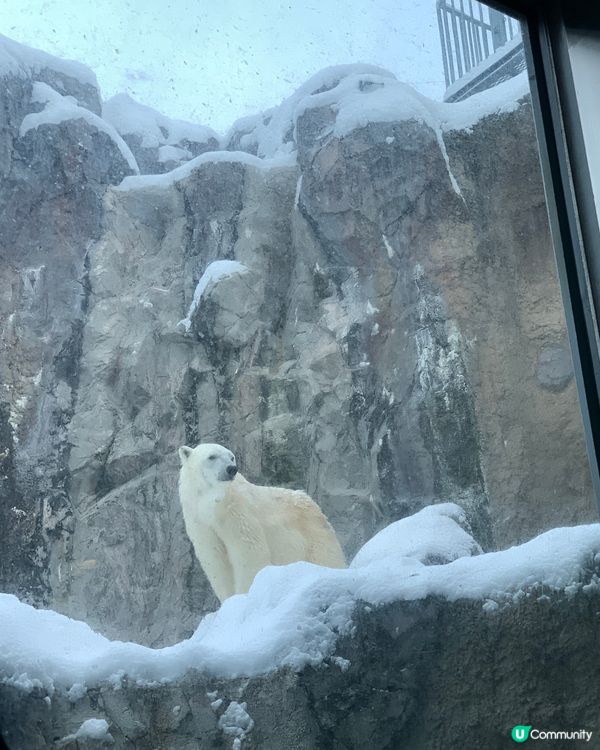 嚟北海道點少得去
