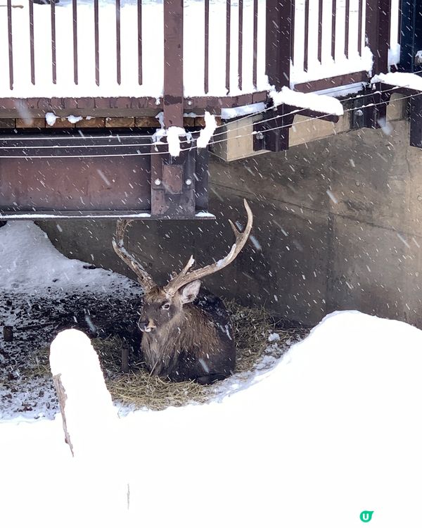 嚟北海道點少得去