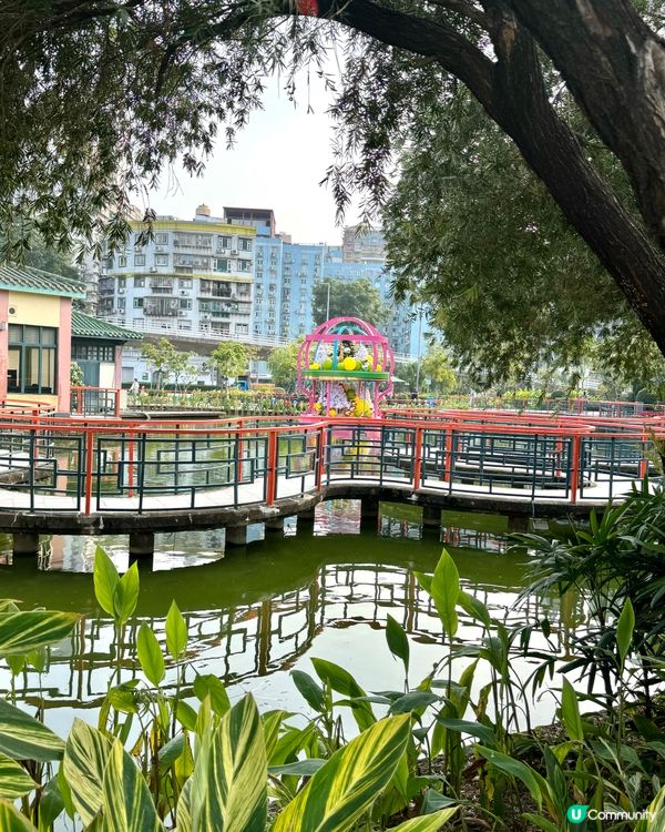 🇲🇴澳門社區深度旅遊✨關閘✨