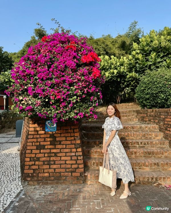 🇲🇴澳門社區深度旅遊✨關閘✨