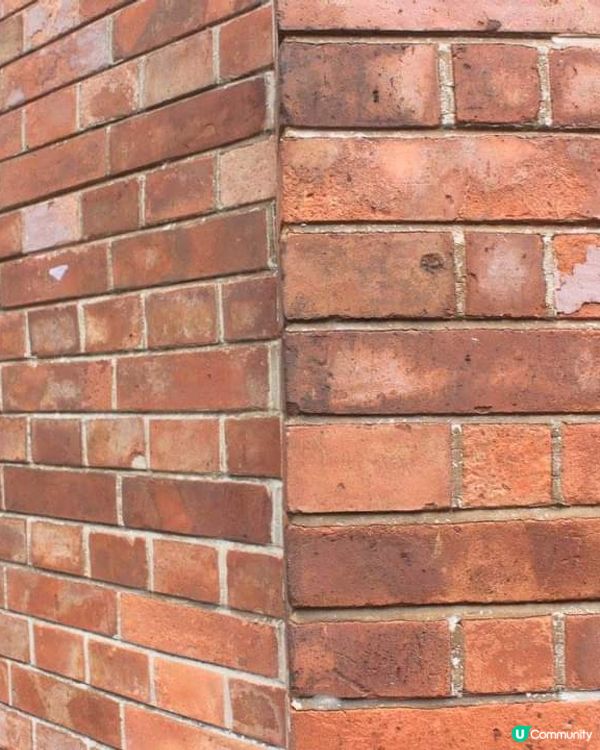 「寧靜與歷史的寶藏：探索尖沙咀訊號山公園」