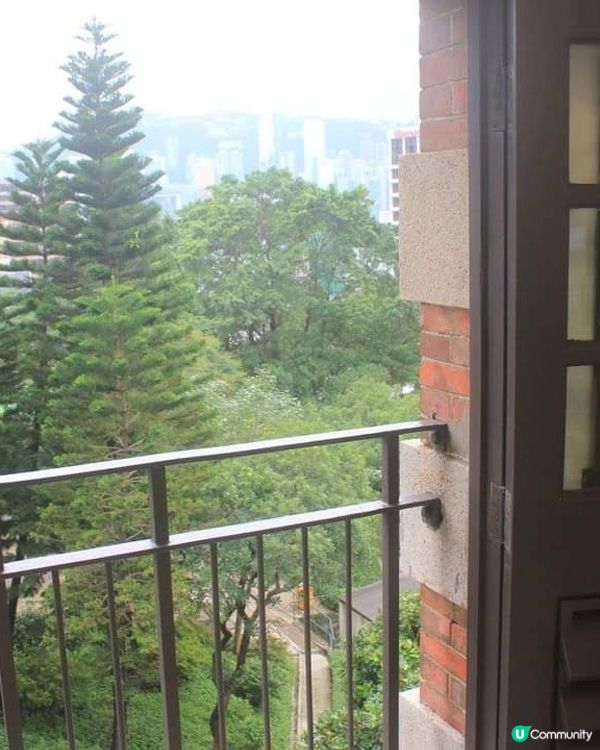 「寧靜與歷史的寶藏：探索尖沙咀訊號山公園」