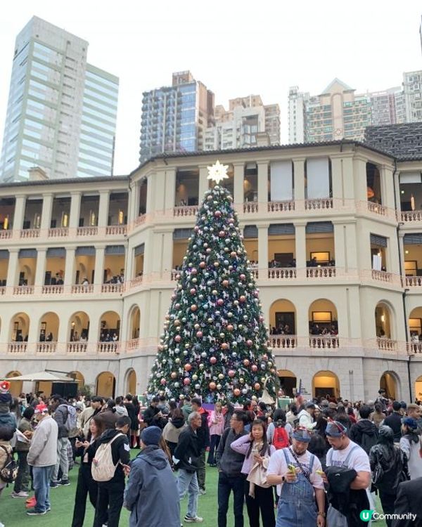 玩轉大館大馬戲季+巨型聖誕樹