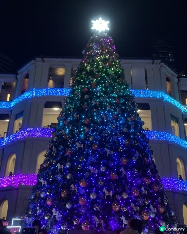 玩轉大館大馬戲季+巨型聖誕樹
