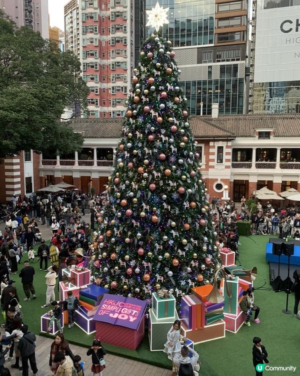 玩轉大館大馬戲季+巨型聖誕樹