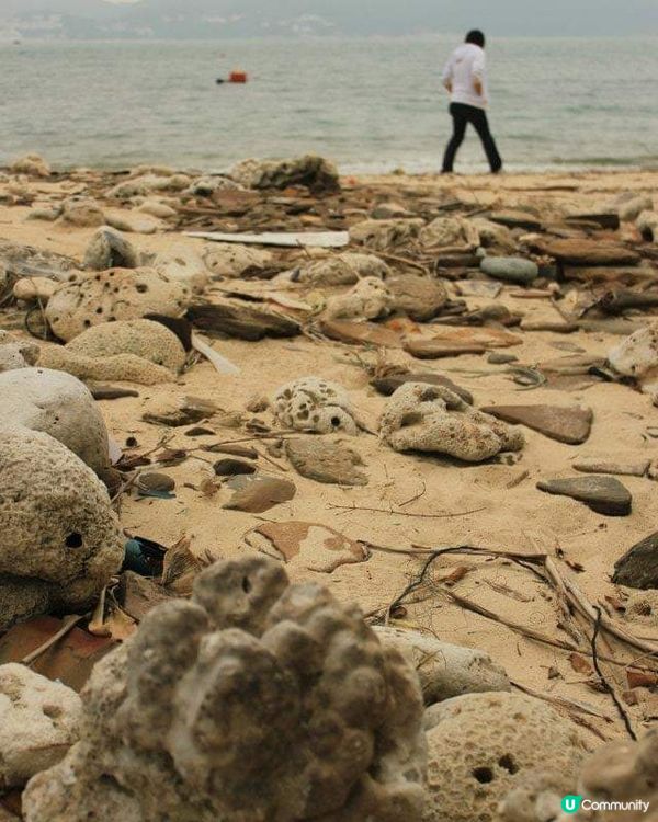 岩浸風化：香港東平洲之遊
