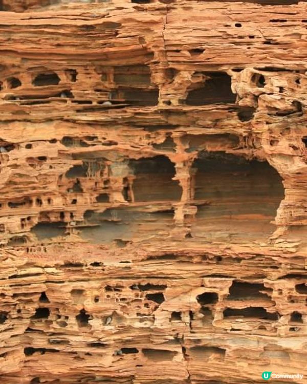 岩浸風化：香港東平洲之遊
