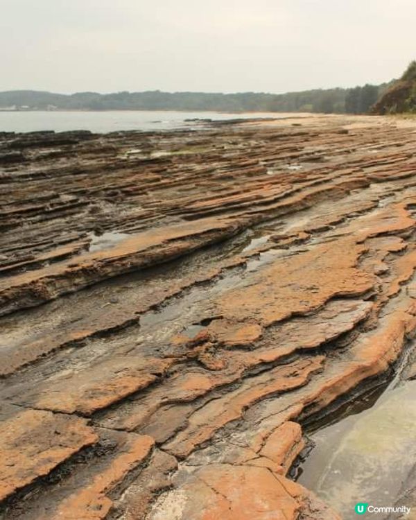 岩浸風化：香港東平洲之遊
