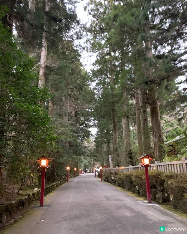 箱根必去！超美湖畔鳥居⛩️ ！箱根神社