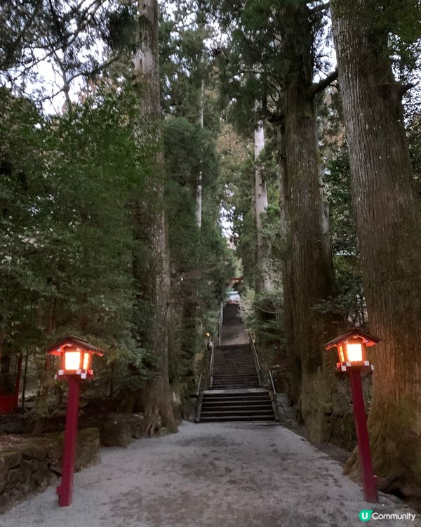 箱根必去！超美湖畔鳥居⛩️ ！箱根神社