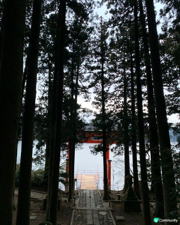 箱根必去！超美湖畔鳥居⛩️ ！箱根神社