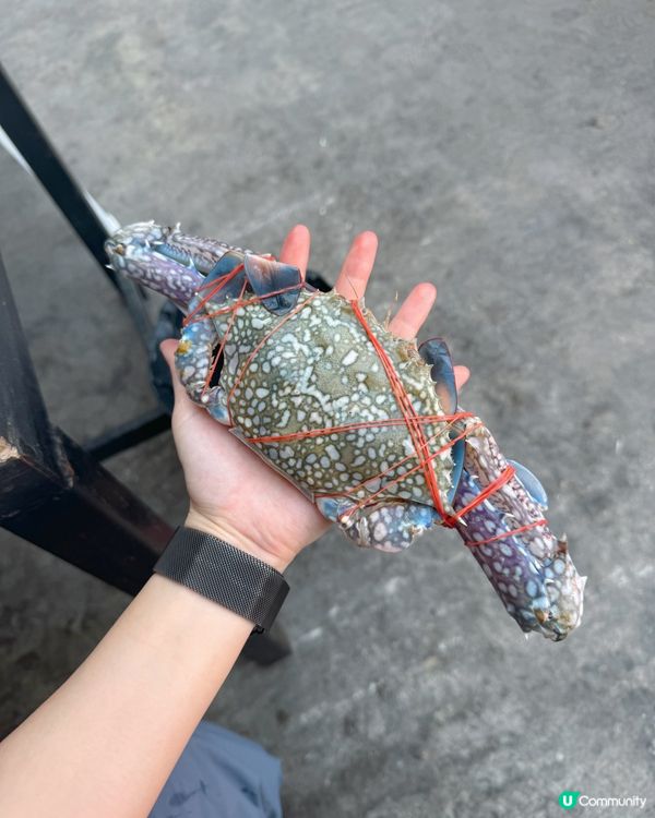 🇹🇭 曼谷必食｜𝐇𝐊$𝟏𝟐𝟎無限時 🦐 生猛海鮮任食