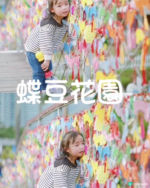 假期好去處｜大埔蝶豆花園｜大人細路都啱玩｜天鵝湖觀塘船｜餵羊鴕｜勁大戶外遊樂設施🛝