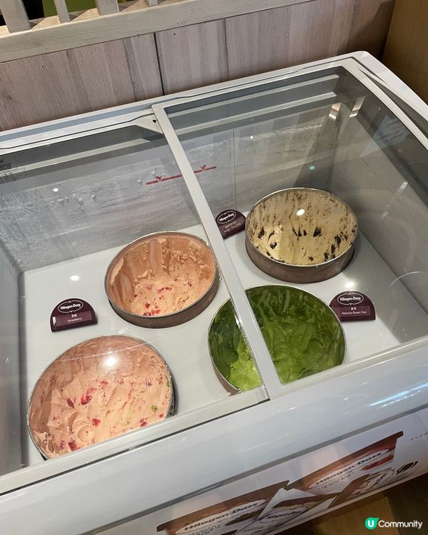 深圳の一人一鍋「淺鍋」