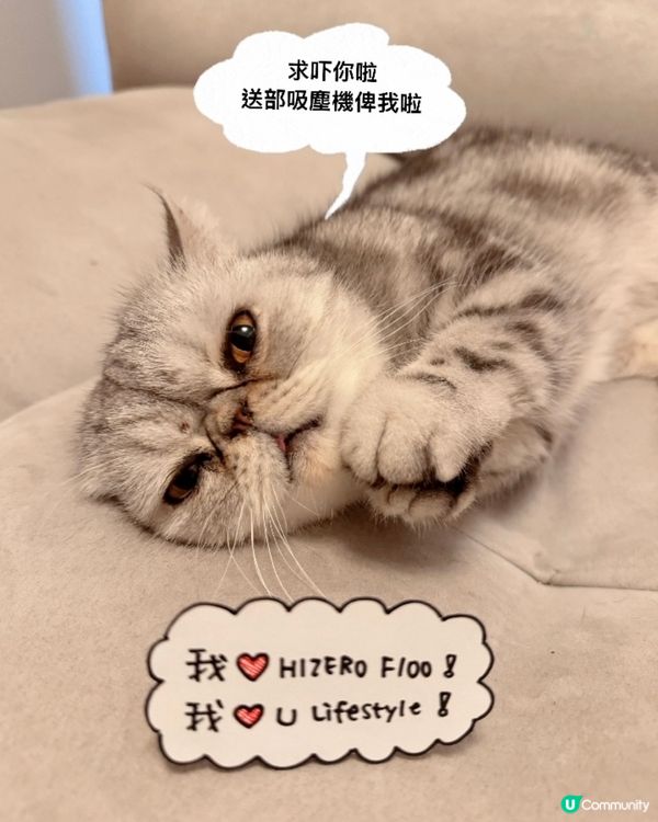 喵～～我食貓毛食到肚仔痛～😣😣😣