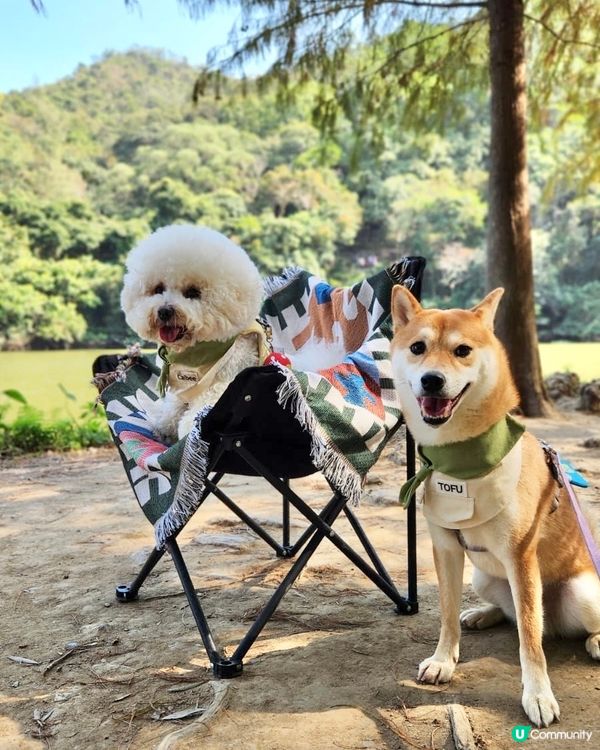 欣賞紅葉🍁好去處