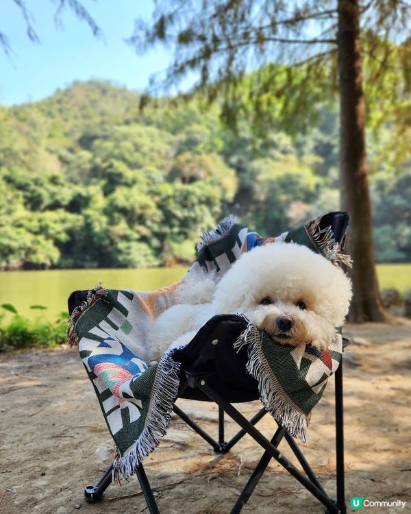 欣賞紅葉🍁好去處