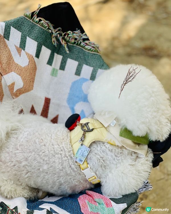 欣賞紅葉🍁好去處