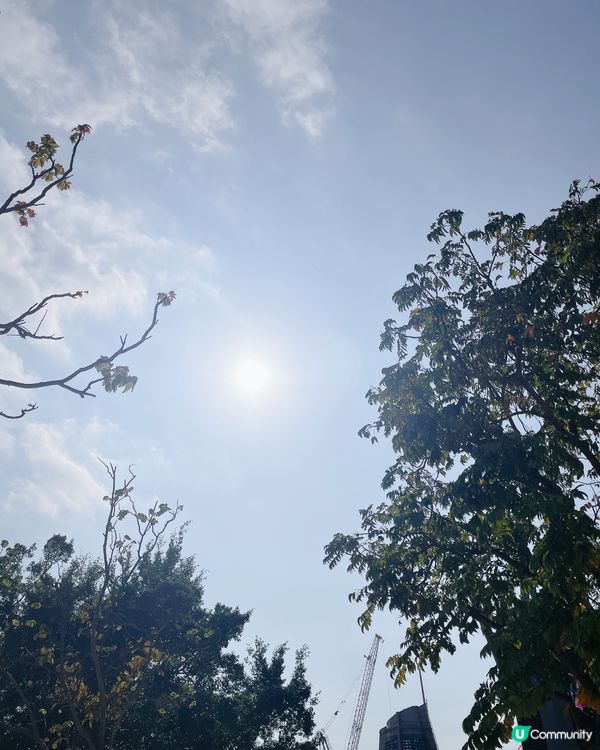 返工ootd👩‍💻