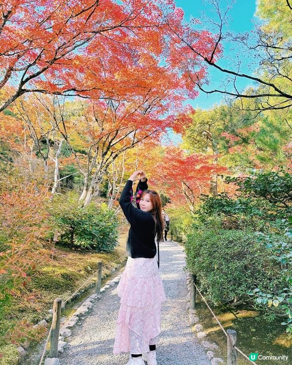 京都自由行🇯🇵｜嵐山一日遊｜快捷舒適交通｜路線美食｜渡月橋🎋竹林小徑、天龍寺必去景點🧨2024