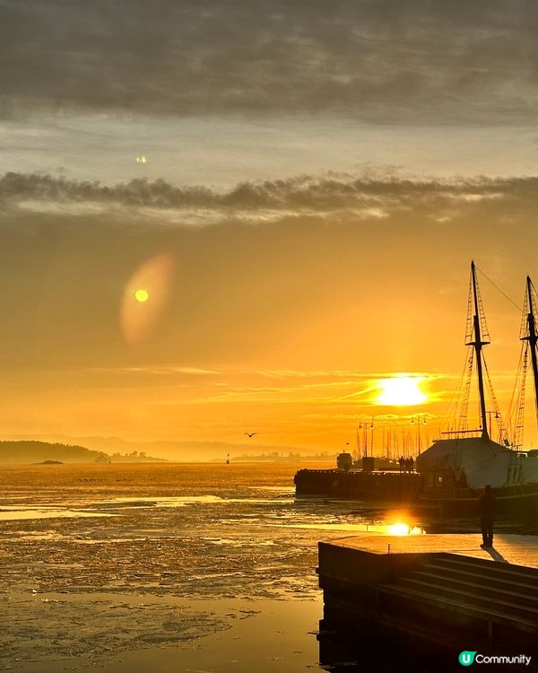 累了休息～之後可以行/飛更遠