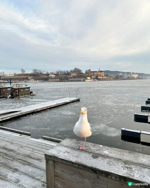 累了休息～之後可以行/飛更遠