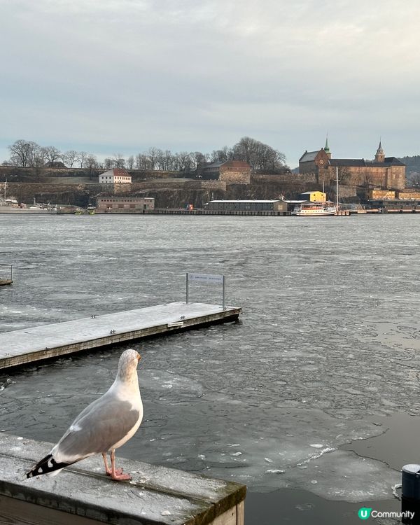 累了休息～之後可以行/飛更遠