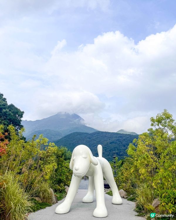 【由布院預約制的現代美術館】