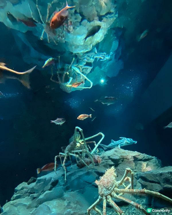 2023～2人自遊記