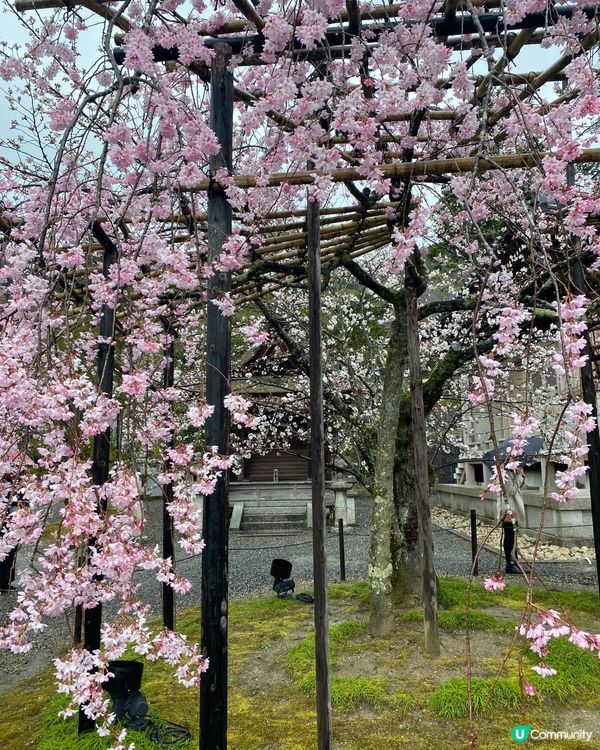 2023～2人自遊記